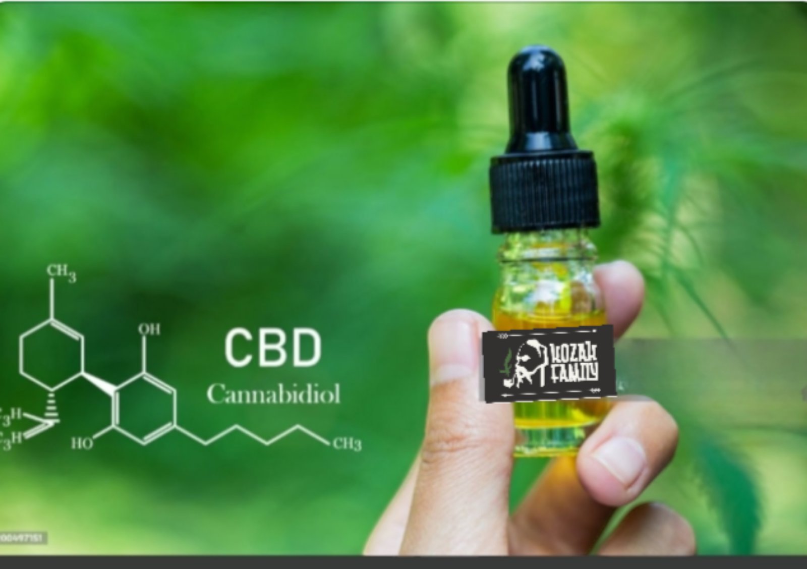 CBD OIL KF Premium 30% 10ml