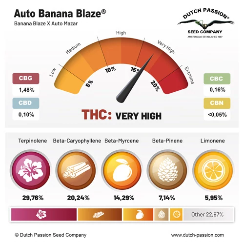 Auto Banana Blaze® - Зображення 2