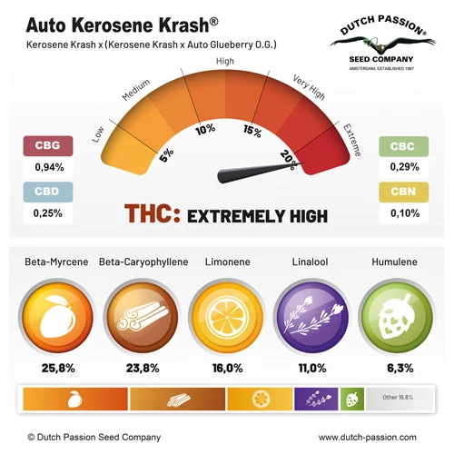 Auto Kerosene Krash® - Зображення 3