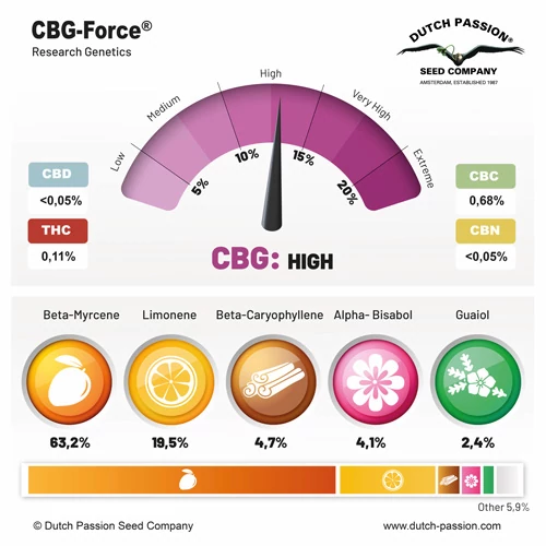 CBG-Force® - Зображення 3