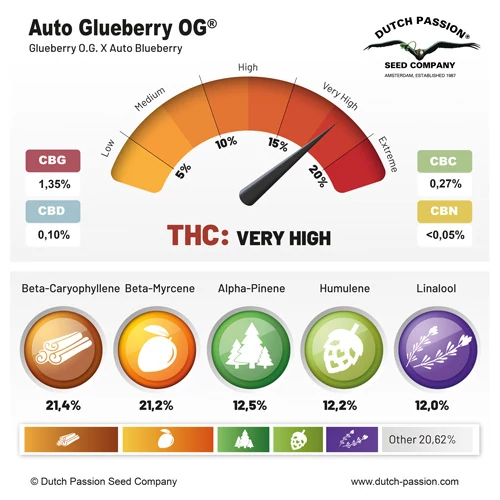 Auto Glueberry O.G.® - Зображення 4