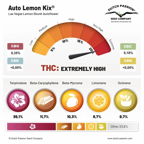 Auto Lemon Kix® - Зображення 2