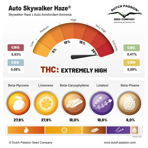 Auto Skywalker Haze® - Зображення 2