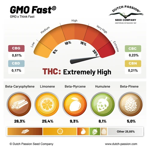 GMO Fast - Зображення 2