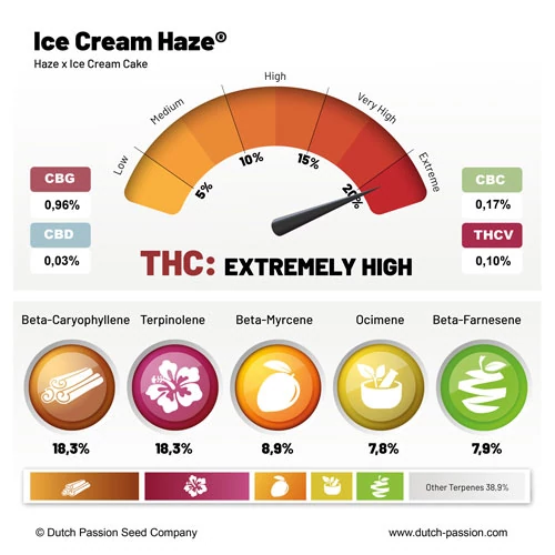 Ice Cream Haze - Зображення 2