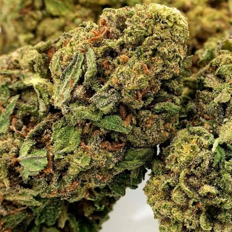 Kosher Haze - Зображення 2