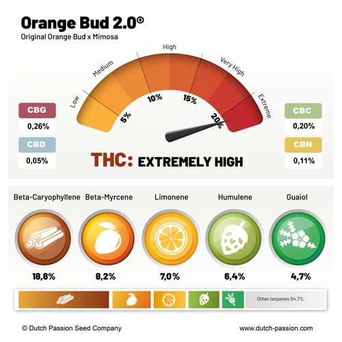 Orange Bud 2.0 - Зображення 2