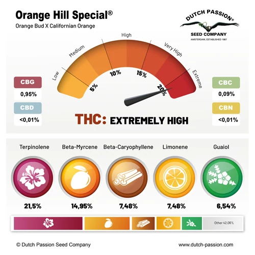 Orange Hill Special® - Зображення 5