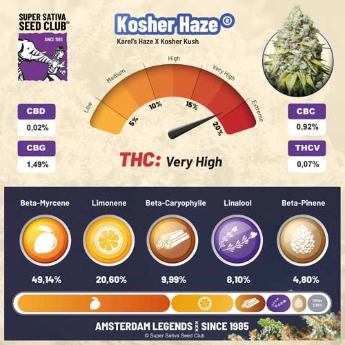 Kosher Haze - Зображення 5