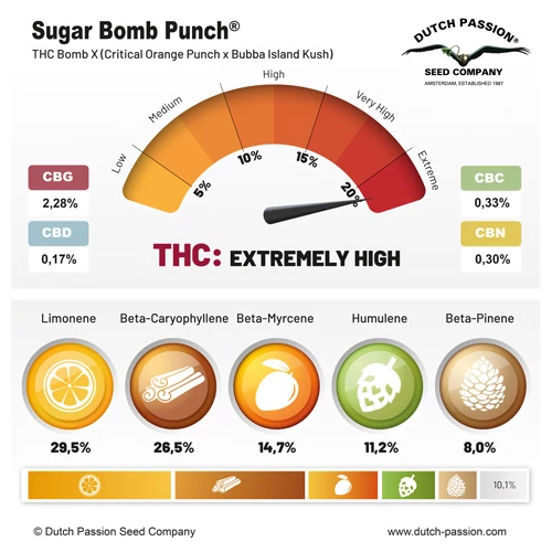 Sugar Bomb Punch® - Зображення 2